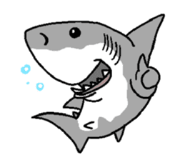Great White Shark 2 sticker #1444642