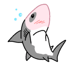 Great White Shark 2 sticker #1444643