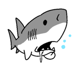 Great White Shark 2 sticker #1444668
