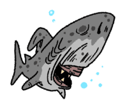 Great White Shark 2 sticker #1444672