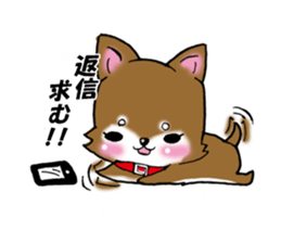 Usashiba Sticker sticker #1445159
