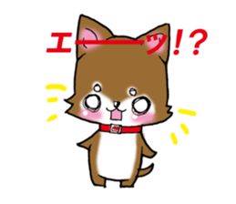 Usashiba Sticker sticker #1445163