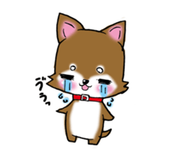 Usashiba Sticker sticker #1445167