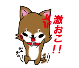 Usashiba Sticker sticker #1445173