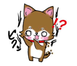 Usashiba Sticker sticker #1445177