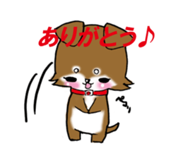 Usashiba Sticker sticker #1445179