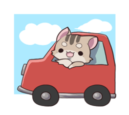 Squirrel Cat sticker #1447566