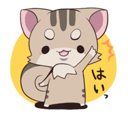 Squirrel Cat sticker #1447570