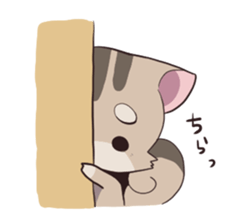 Squirrel Cat sticker #1447590