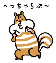 Shima-shima-chipmunk sticker #1447876