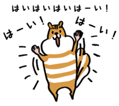 Shima-shima-chipmunk sticker #1447877