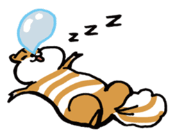Shima-shima-chipmunk sticker #1447886
