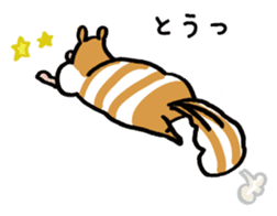 Shima-shima-chipmunk sticker #1447893