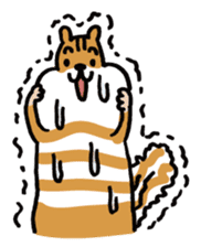 Shima-shima-chipmunk sticker #1447895