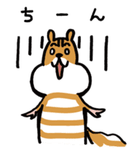 Shima-shima-chipmunk sticker #1447899