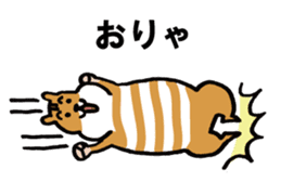 Shima-shima-chipmunk sticker #1447909