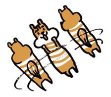 Shima-shima-chipmunk sticker #1447912