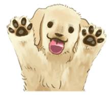 The Golden Retriever Puppy! sticker #1450599