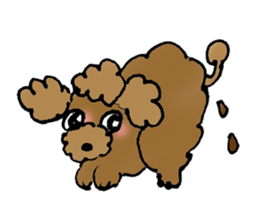Poodle sticker #1452287