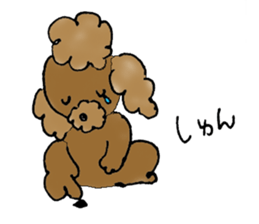 Poodle sticker #1452288