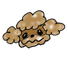 Poodle sticker #1452298