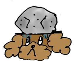 Poodle sticker #1452300