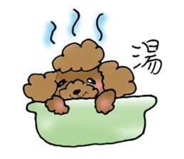 Poodle sticker #1452307