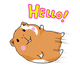 kawaii guinea pig Koo-chan sticker #1452954