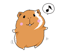 kawaii guinea pig Koo-chan sticker #1452955