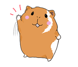 kawaii guinea pig Koo-chan sticker #1452956