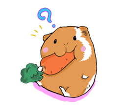 kawaii guinea pig Koo-chan sticker #1452957