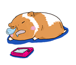 kawaii guinea pig Koo-chan sticker #1452959