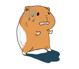 kawaii guinea pig Koo-chan sticker #1452961