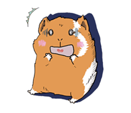 kawaii guinea pig Koo-chan sticker #1452962