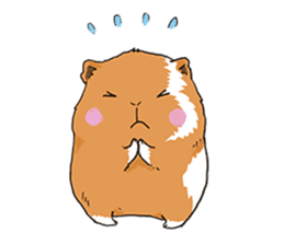 kawaii guinea pig Koo-chan sticker #1452964