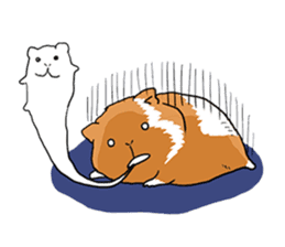 kawaii guinea pig Koo-chan sticker #1452965