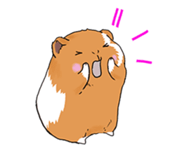 kawaii guinea pig Koo-chan sticker #1452966