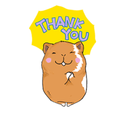 kawaii guinea pig Koo-chan sticker #1452967