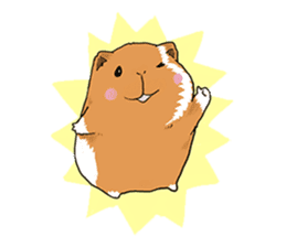 kawaii guinea pig Koo-chan sticker #1452968