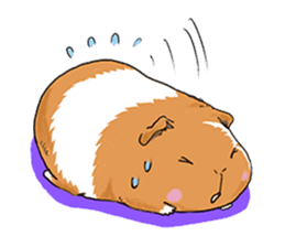 kawaii guinea pig Koo-chan sticker #1452971
