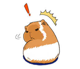 kawaii guinea pig Koo-chan sticker #1452972