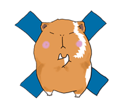 kawaii guinea pig Koo-chan sticker #1452975