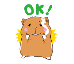 kawaii guinea pig Koo-chan sticker #1452976