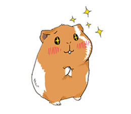 kawaii guinea pig Koo-chan sticker #1452978