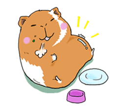 kawaii guinea pig Koo-chan sticker #1452979
