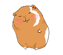 kawaii guinea pig Koo-chan sticker #1452980
