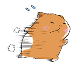 kawaii guinea pig Koo-chan sticker #1452981