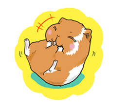 kawaii guinea pig Koo-chan sticker #1452982