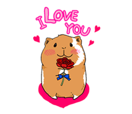 kawaii guinea pig Koo-chan sticker #1452985