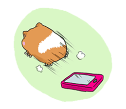 kawaii guinea pig Koo-chan sticker #1452988